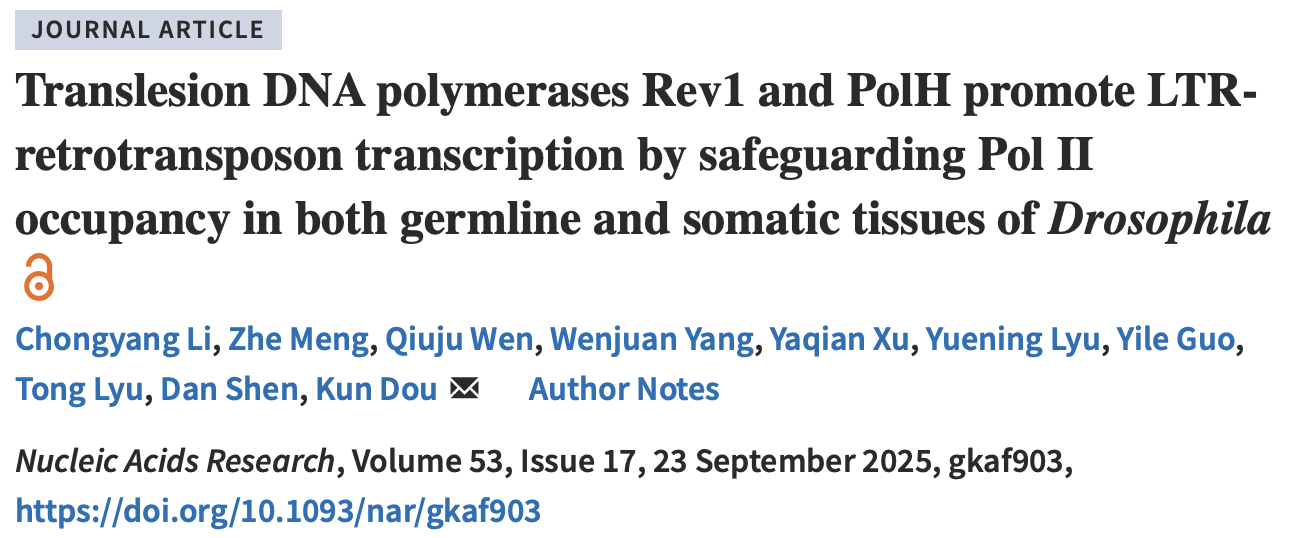 生命学院窦坤课题组揭示特殊DNA聚合酶促进LTR型逆转座子转录